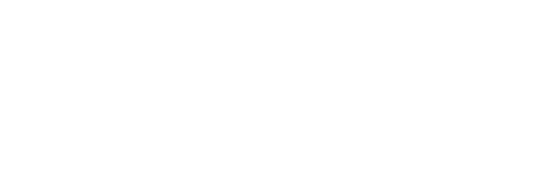 Smart Chips